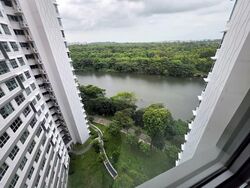 Blk 476B Hougang Capeview (Hougang), HDB 4 Rooms #584514871
